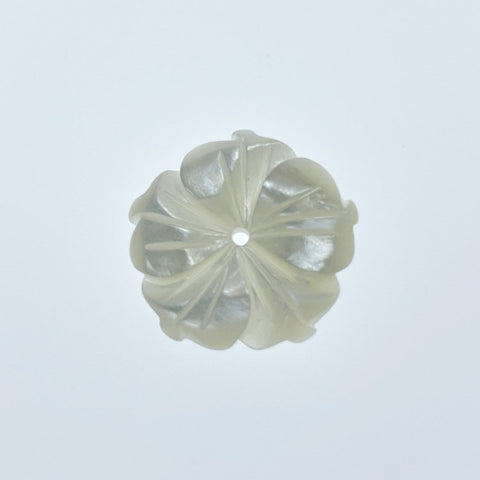 Buy Bauhinia Flower Mother Of Pearl Beads At BestBeadSupply.com