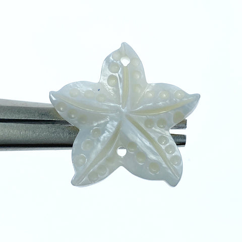 6pc 25mm Hand Carved Freshwater Mother of Pearl Starfish Connectors Pendants FWM-0002