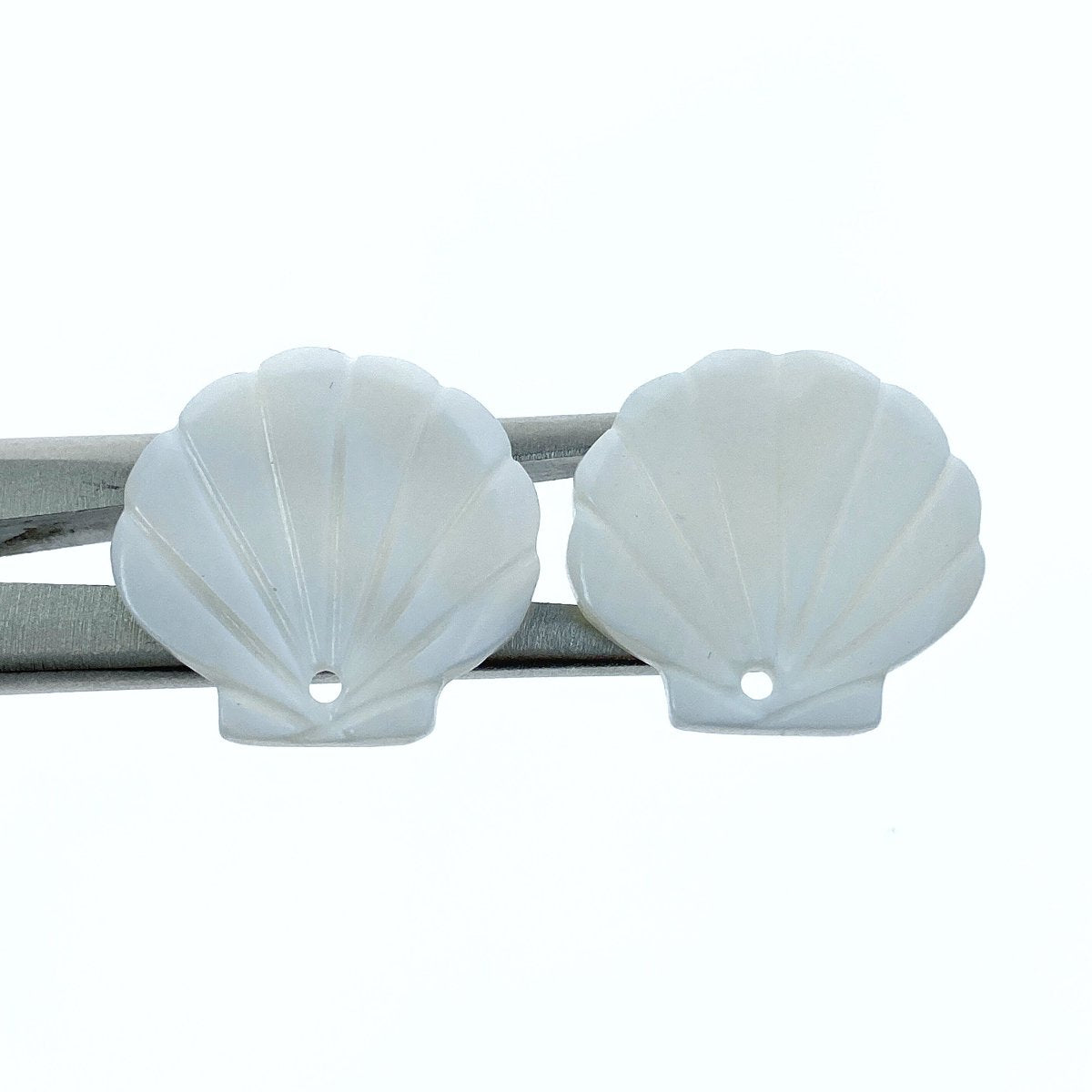 10pc Clam Shell White Mother Of Pearl Beads 21mm Hand Carved FWM-0008