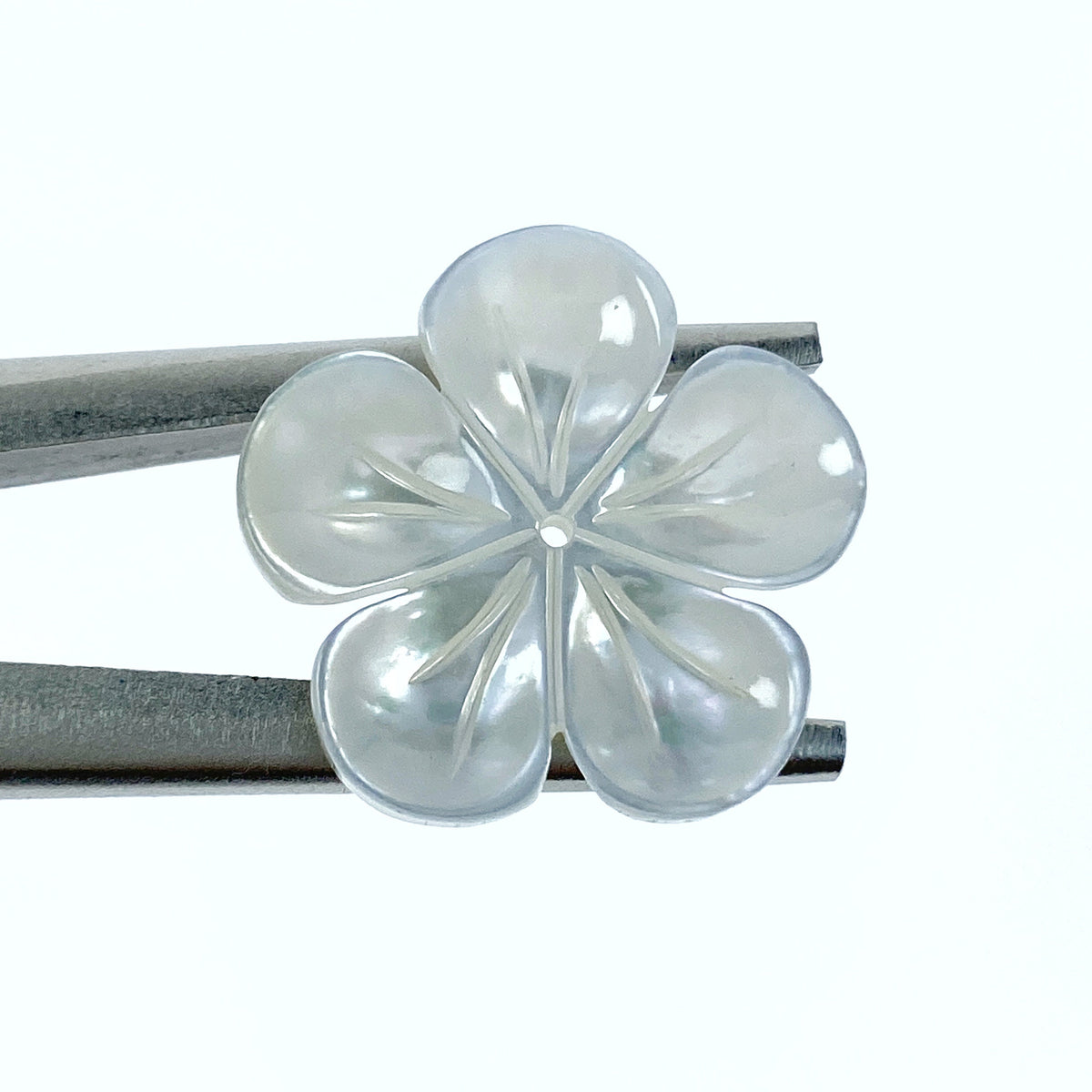 6pc 20mm Hand Carved White Mother of Pearl 5-petal Flower Beads WM-0156