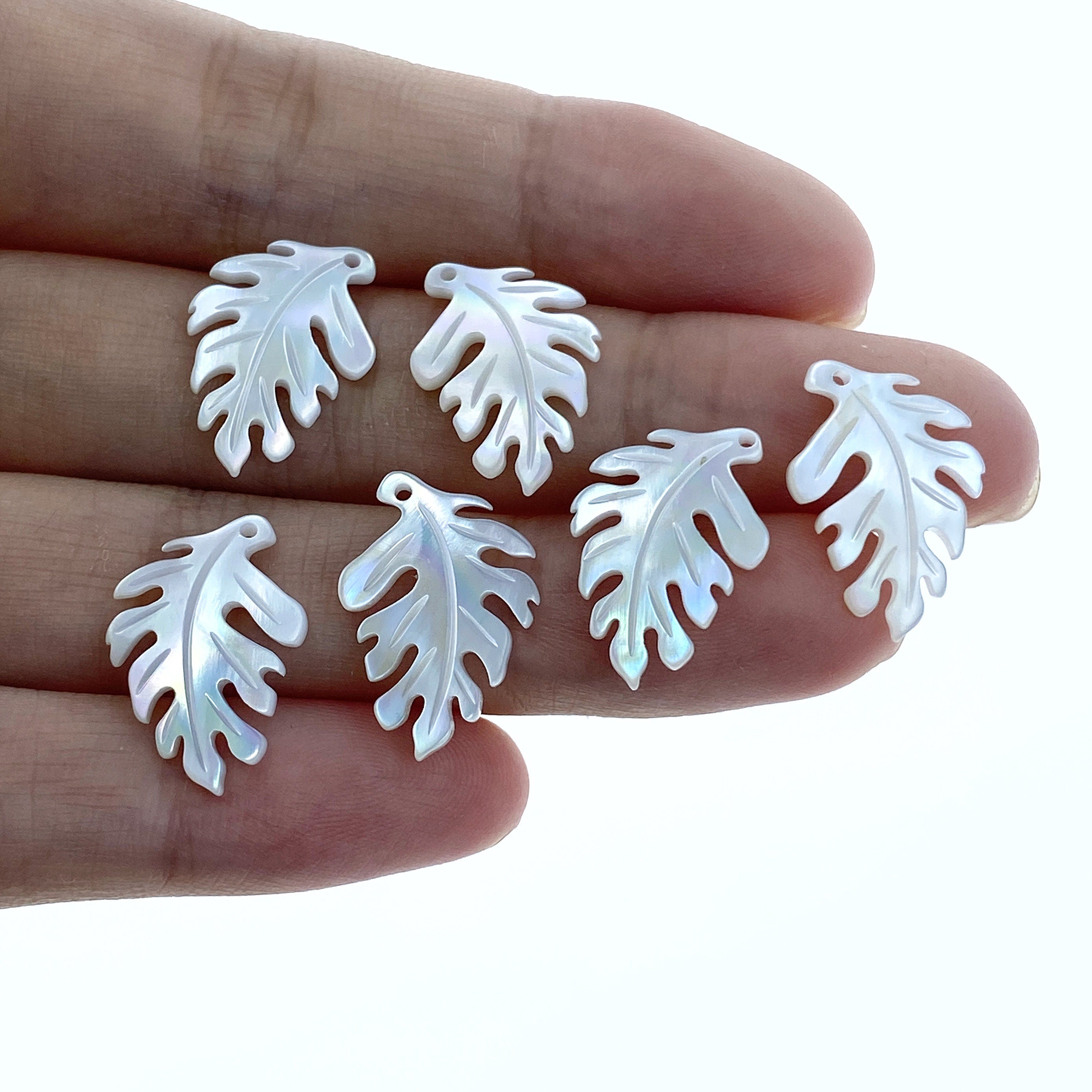 2pair 12mm x 18mm White Mother of Pearl Monstera Leaf Pendants WM-0052