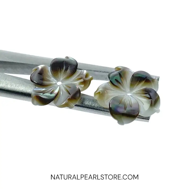 Bauhinia Flower Beads Black Mother Of Pearl NaturalPearlStore.com