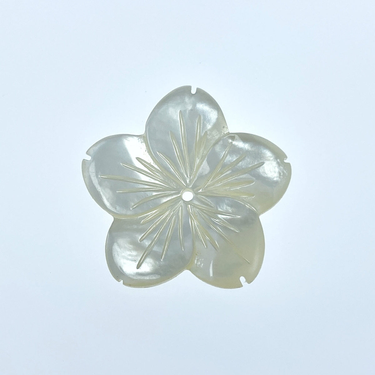 6pc 25mm Hand Carved White Mother of Pearl 5-petal Flower Beads WM-0162